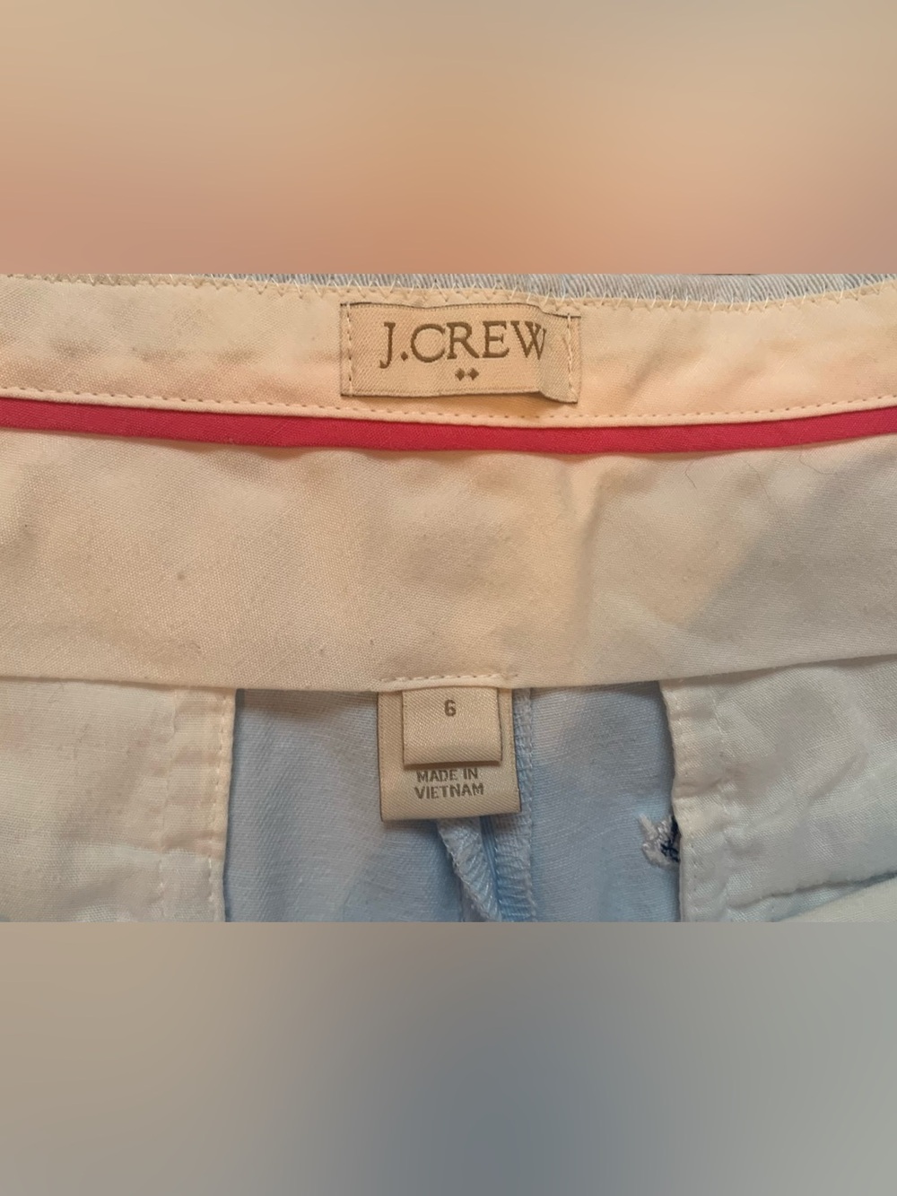 J. Crew Light Blue Embroidered Swan Shorts - 6 - Picture 3 of 9